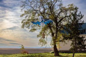 Amazon's Drones Back in the Air After Arizona Mishap