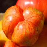 Solar Flare Scare: Airbus Grounds Thousands!