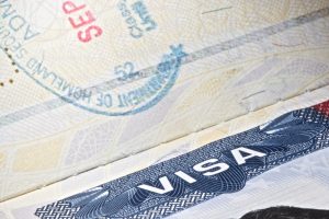 Visa Vortex: Tech Giants Ground Global Talent!