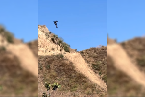 Hustlerwords 21 AI Agent's Inbox Rampage: A Stark Warning!