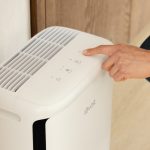 Is Your Apartment Smelling Like a Kennel?