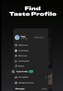 Spotify's AI Unleashed: You Control Your Sound!